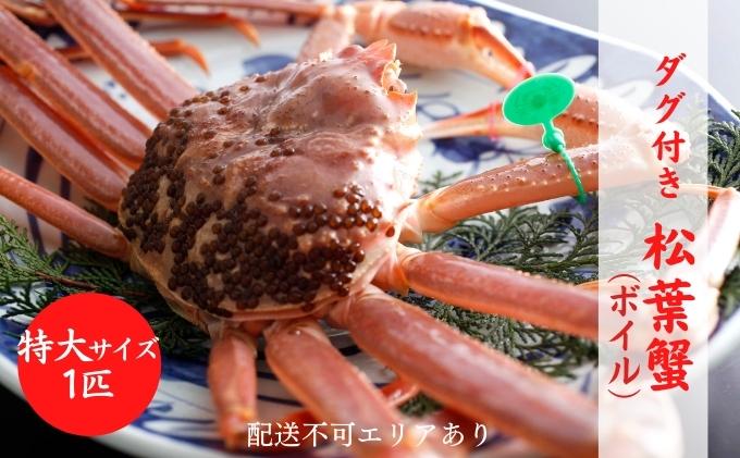タグ付き 松葉蟹 （ボイル）特大1匹分