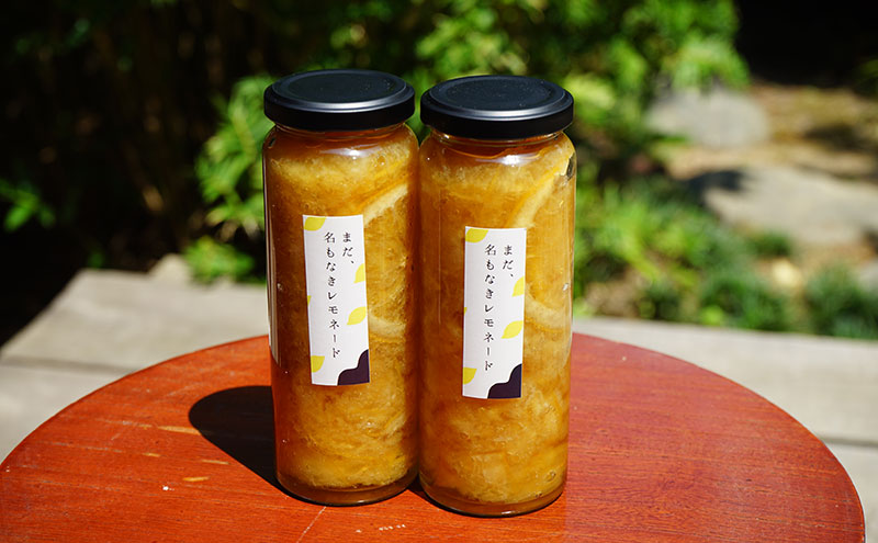 レモンシロップと佃煮セット（各2個）