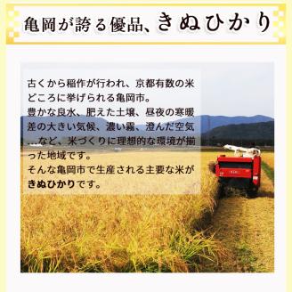 定期便 無洗米 10kg 12ヶ月 京都丹波産 キヌヒカリ 12回定期便 10kg （5kg×2袋） ×12回 計120kg ※受注精米◇