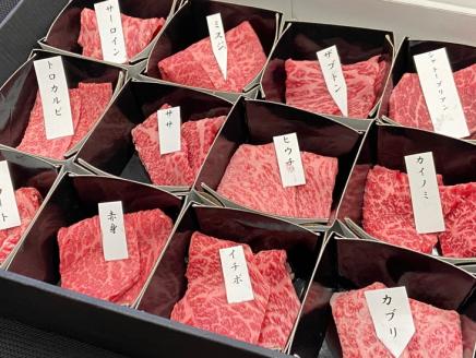 【冷蔵/冷凍】京の肉 ひら山厳選 京都府産 黒毛和牛 希少部位 12種盛 食べ比べセット 計６００ｇ《最高級 A5ランク 冷蔵 冷凍》