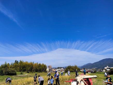 米 予約 令和7年産 自然栽培米 ヒノヒカリ 玄米 25kg 京都府・亀岡産 栽培期間中農薬不使用 ※離島への配送不可 ※2025年12月より順次発送予定