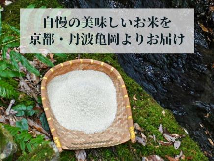 【令和6年産先行予約】米 定期便 5kg×12ヶ月 60kg コシヒカリ 佐伯の里の源流米 希少 令和6年産 新米 5キロ 12回 ※北海道・沖縄・離島の配送不可 ※2024年10月以降発送予定