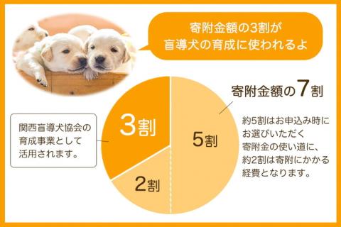 【返礼品相当額で盲導犬の育成を支援】支援額600円(記念品なし) 寄附のみ 返礼品なし 応援 寄附 支援 ※2,000円単位でご寄附いただけます。