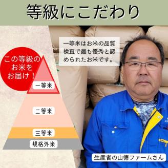 玄米 30kg 京都丹波米 こしひかり◇《米 一等米 コシヒカリ 特別栽培米 減農薬》※北海道・沖縄・離島への配送不可