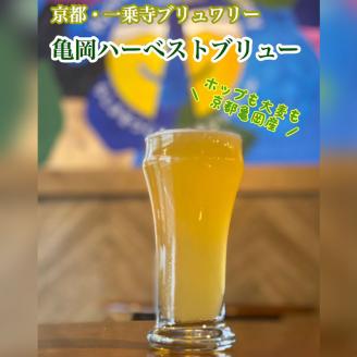 ＜京都・一乗寺ブリュワリー＞【受注生産】クラフトビール 4本セット「亀岡ハーベストブリュー＆一乗寺スタウト」≪ビール 地ビール セット 京都 飲み比べ≫