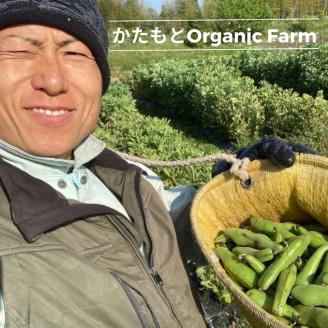 甘～い そら豆 4kg【期間限定】京都府・亀岡産 自然栽培のかたもとオーガニックファームよりお届け ※2026年5月上旬～6月上旬頃に順次発送予定 ※離島への配送不可