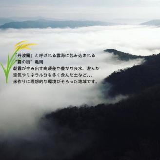 無洗米 10kg （5kg×2袋） 京都丹波産 コシヒカリ ※100セット限定 ※受注精米《米 白米 こしひかり ふるさと納税 無洗米 亀岡そだち》 ※北海道・沖縄・離島への配送不可