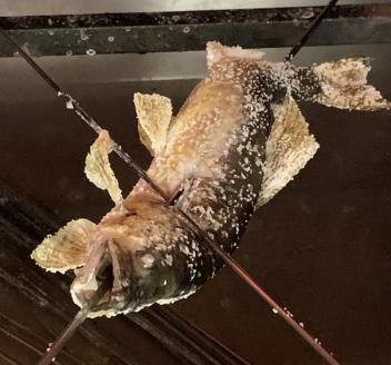 京都保津川の活〆天然鮎 ※北海道・沖縄・離島への配送不可