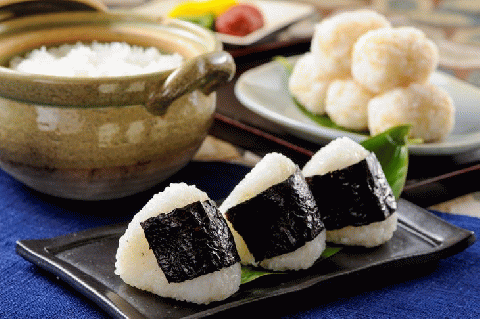 令和5年産 米 10kg 京都丹波産 コシヒカリ 白米＜JA京都 たわわ朝霧＞ 発送に合わせて精米