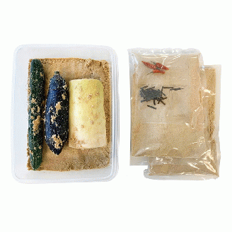 期間限定 糠床「どぼ漬」 手作り セット＜京つけもの もり＞ ｜ 京漬物 夏 ぬか床 おうち体験 ぬか漬 ※5月より順次発送
