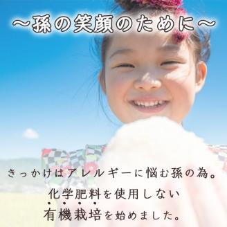 【数量限定】訳あり＜ワイワイ・ファーム＞京都府亀岡産いくひかり 5kg×2袋 計10kg≪京都 丹波 産地 農家 直送 ご飯 お弁当 令和5年産 米≫