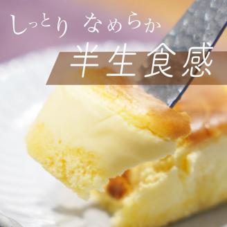 濃厚 半熟 スフレ チーズケーキ 20個 個包装 無添加＜半熟チーズ工房 京都 洋菓子館ベルジェノア＞ ≪半生 ケーキ スイーツ ギフト 洋菓子 手土産 母の日 敬老の日 祝い お取り寄せ≫