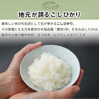 【12月末まで】令和7年産 新米 京都丹波米こしひかり5kg 白米 米◇◆◇ 食味鑑定士厳選 京都丹波産 ふるさと納税米 ※精米したてをお届け ※北海道・沖縄・離島への配送不可