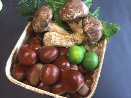 [先行予約]期間・数量限定 極上 丹波松茸 丹波栗 詰め合わせ＜京都・八光館＞ ※2025年10月中旬以降発送予定 ※北海道・沖縄・北東北（青森、岩手、秋田）・その他離島配送不可