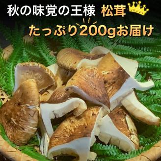 京都府産 黒毛和牛 と 松茸 すき焼き セット《牛肉 500g 松茸 200g》特製割下付き※発送不可地域あり ※2025年10月下旬～11月下旬頃までに順次発送予定