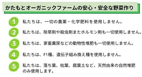 京都府・亀岡産 無農薬・自然栽培で育てた体も心も喜ぶ、かたもとオーガニックファームの季節のお野菜セット　10～20品目　≪産地直送　朝採れ　新鮮　京野菜≫