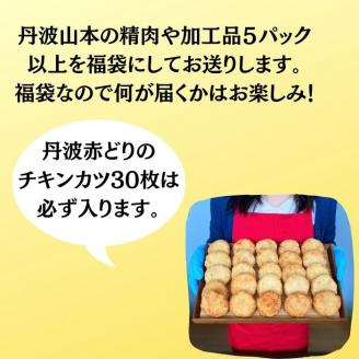 期間限定 鶏肉・加工品 お楽しみ 福袋（小）＜京都亀岡丹波山本＞おまかせ 5品 詰め合わせ 人気・チキンカツ30枚入