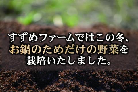 お鍋専用 有機野菜 セット《野菜 有機JAS認定 京野菜 オーガニック 栽培期間中化学肥料・農薬不使用『すずめファーム』》
