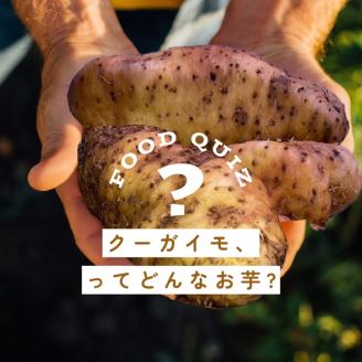 無農薬栽培 自然薯（亀岡産クーガ芋）1kg 期間限定《いも 芋 山芋 琉球自然薯》