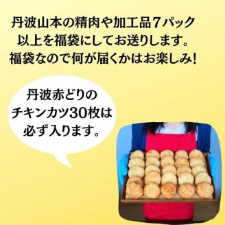 期間限定 鶏肉・加工品 お楽しみ 福袋（大）＜京都亀岡丹波山本＞おまかせ 7品 詰め合わせ 人気・チキンカツ30枚入