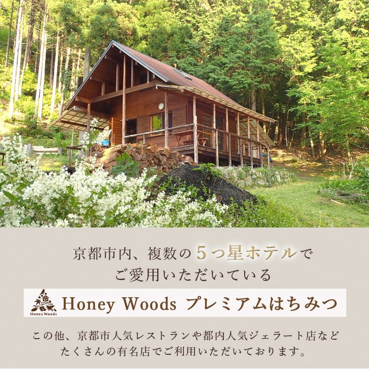 京都・彼岸山 徳用 天然 はちみつ 百花蜜 500g ボトルタイプ Honey Woods《純粋 非加熱 国産 完熟 無添加 生はちみつ 家庭用 蜂蜜 健康 ダイエット》訳あり