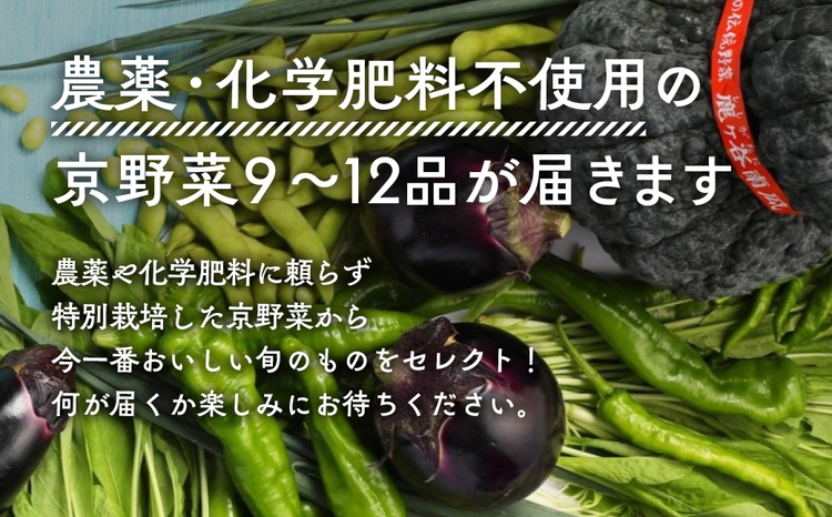 【6回定期便】＜アスカ有機農園＞旬の京野菜セットL（平飼い卵付）＊毎月お届け全6回