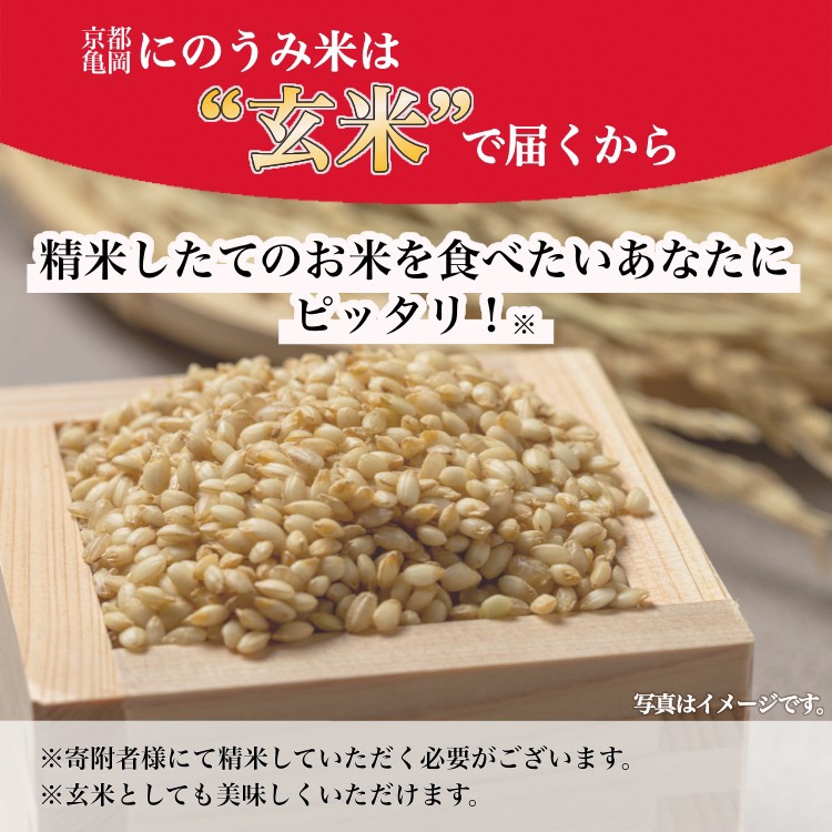 【令和7年産先行予約】米 キヌヒカリ 玄米 10kg〈アグリにのうみ〉京都・亀岡産《令和7年産》◇ ※北海道・沖縄・離島への配送不可 ※2025年10月中旬頃から順次発送予定