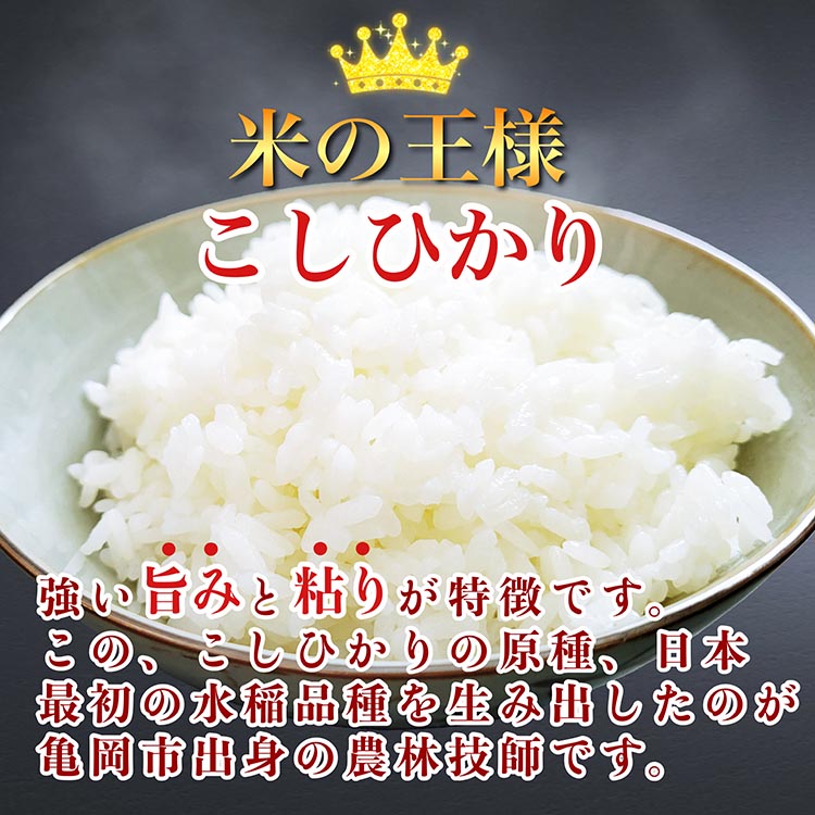 無洗米 2kg 真空パック 京都丹波産 コシヒカリ ※受注精米 2kg｜米 白米 2キロ 小分け 備蓄米 非常食 こしひかり 亀岡そだち ふるさと納税米 ※北海道・沖縄・離島への配送不可