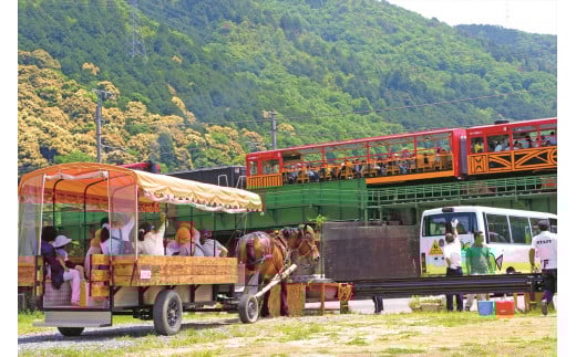 京馬車で行くトロッコ亀岡駅から保津川下り乗船場コース チケット 子ども（4歳から12歳まで） 1枚 ※（要予約）ご利用前に予約が必要です。