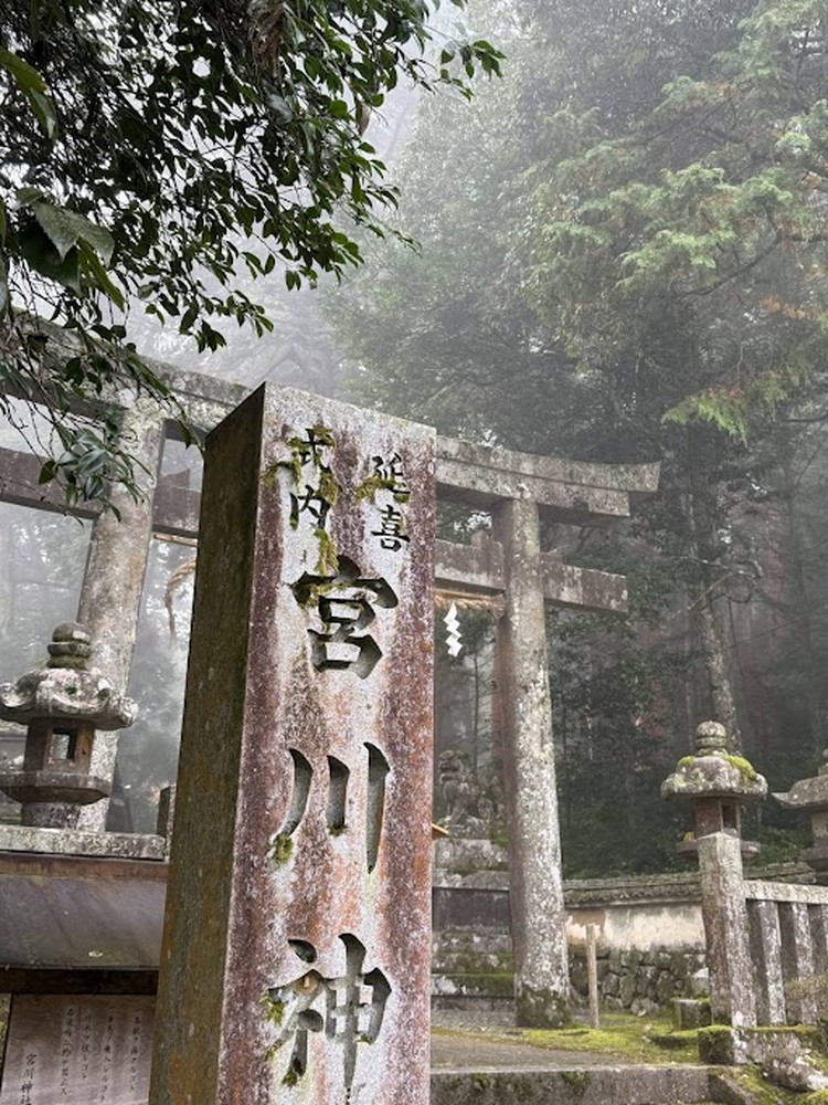 京都・亀岡産きぬひかり「宮川神社米」3kg(1kg×3袋) 米 令和7年産 ※北海道・沖縄・離島への配送不可