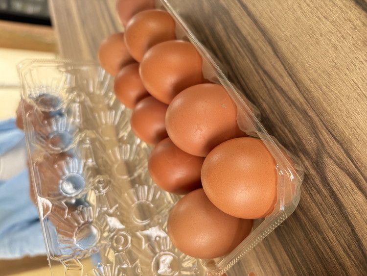 たかはし農園の放し飼い 黒鶏 ネラのたまご 10個×2 計20個 《京都 丹波産 放し飼い 希少 自然卵 平飼い 卵 有精卵 贈り物 ギフト 産地直送 健康食品 贈答》