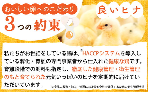 新鮮 卵 120個（100個+卵割れ保証20個）(10個×12パック)京都丹波『霧の卵』三和鶏園 ≪たまご タマゴ 玉子 生卵 鶏卵 小分け 贈答 ギフト ふるさと納税 卵 直送 冷蔵 朝食 料理 人気≫ ※北海道・沖縄・離島への配送不可