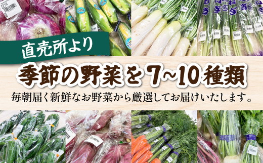 野菜 定期便 直送 12回 朝採れ 7～10品目 京都丹波 亀岡 佐伯の里 訳あり生活応援 家計応援 ※北海道・沖縄・離島への配送不可