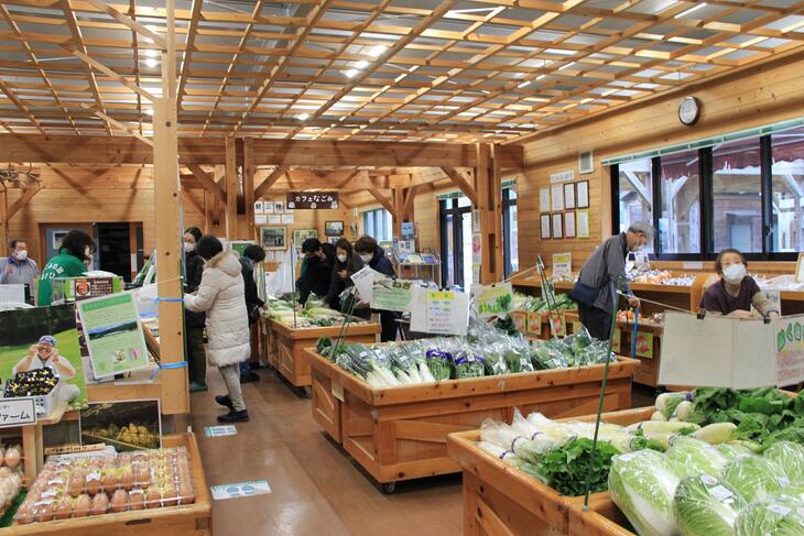 令和7年産 コシヒカリ 先行予約 米 定期便 5kg 6回 計30kg丹波 亀岡産 「京都 旭のお米」なごみの里あさひ 米 新米 白米 精米 ※北海道・沖縄・離島へのお届け不可※2026年3月上旬以降に順次発送