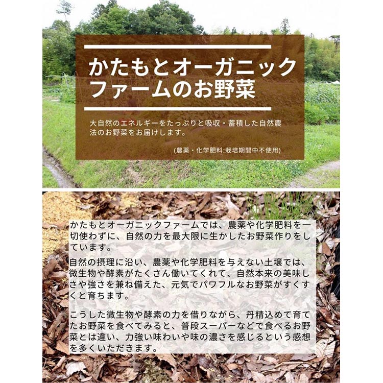 【期間限定】自然栽培のさつまいも 12kg 鳴門金時 京都 亀岡産 かたもとオーガニックファームよりお届け《サツマイモ 野菜 産地直送 国産 スイーツ》 ※離島への配送不可