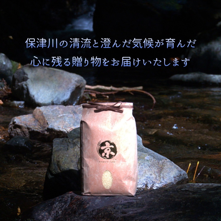 【令和7年産】京都府産きぬひかり《ひるがお1.5kg》贈答用 発送直前精米 精米 白米 コメ ごはん ライス ご飯 ギフト 贈り物