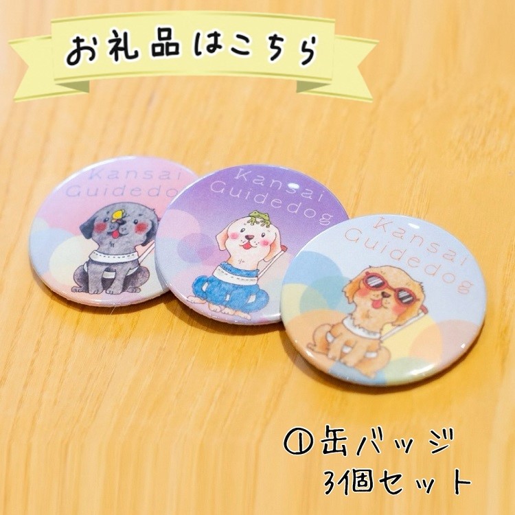 【返礼品相当額で盲導犬の育成を支援】支援額30,000円(記念品あり)エコバッグなど盲導犬協会オリジナルグッズ進呈[行きたい場所に安心していける社会に…]