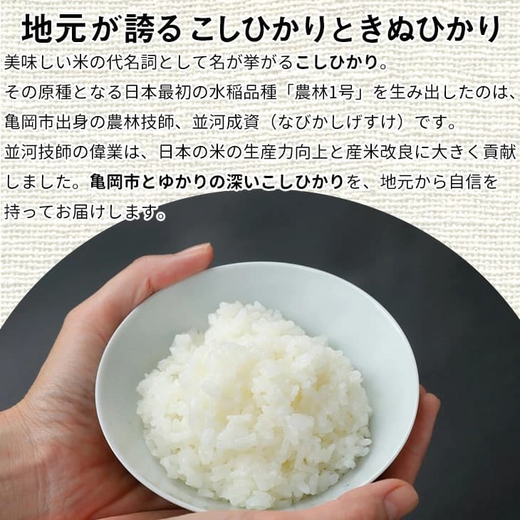 【12月末まで】【定期便】令和7年産 新米 京都丹波米10kg (こしひかり5kg・きぬひかり5kg) ×12回 計120kg○12ヶ月 12回定期便 コシヒカリ・キヌヒカリ 各5kg※精米したてをお届け 白米※北海道・沖縄・離島への配送不可