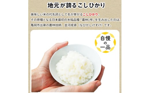【12月末まで】【毎月1回お届け】【定期便】令和7年産 新米 京都丹波米 こしひかり10kg×12回 計120kg 米 12ヶ月 白米 12回定期便 ※精米したてをお届け コシヒカリ ※北海道・沖縄・離島への配送不可