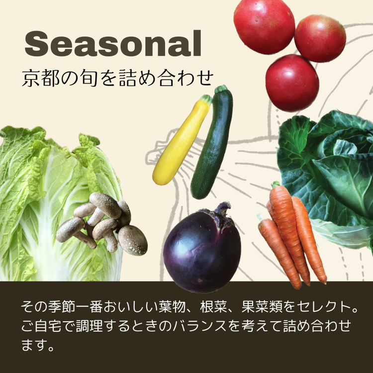 【8回定期便】＜３６９商店＞京都丹波産旬の野菜セットデラックス！平飼い卵10個、季節の果物又は加工品　※栽培期間中農薬・化学肥料不使用 ※北海道・沖縄・離島への配送不可