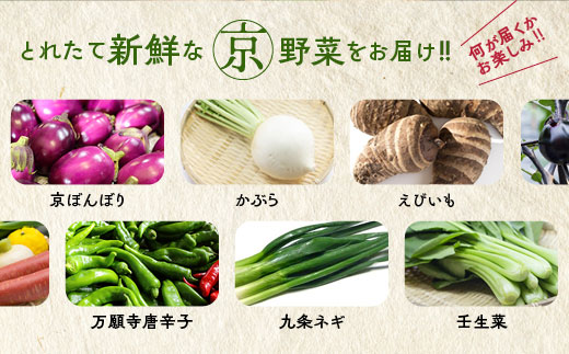 旬の京野菜　レギュラーコース≪京都 丹波 野菜 ふるさと納税野菜≫※沖縄・離島・諸島へのお届け不可