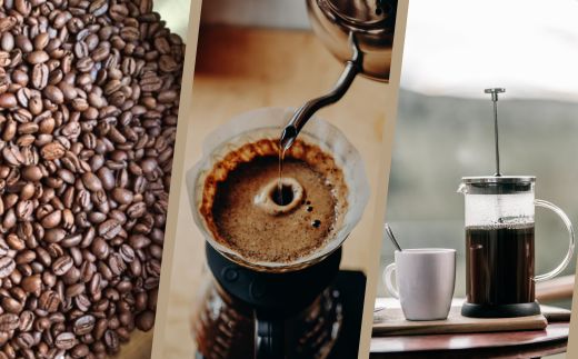 スペシャルティコーヒー豆 (農薬不使用) 100g 2種類ギフトボックスセット 飲料 深煎り 中深煎り 珈琲 お取り寄せ グルメ ギフト 飲み比べ 自家焙煎 ※離島への配送不可