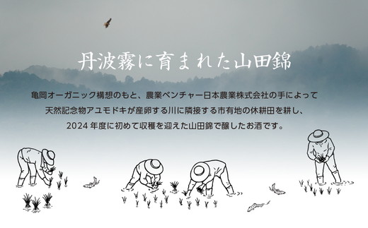 土と田と The Beginning 2024 720ml ≪無濾過純米大吟醸酒 日本酒 大吟醸 純米酒 お酒 京都 亀岡産 山田錦 酒 お取り寄せ ギフト≫