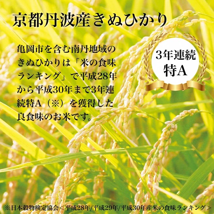 令和7年産 新米 京都丹波産 きぬひかり 5kg ※米食味鑑定士厳選 ※精米したてをお届け【京都伏見のお米問屋が精米】米 令和7年産 ※沖縄本島・離島への配送不可