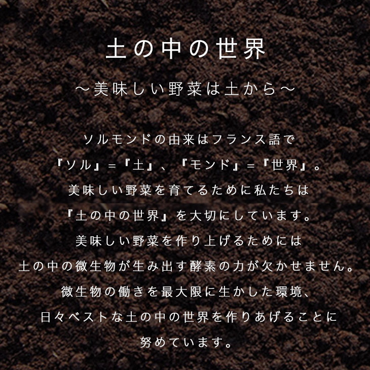 ソルモンドの 冬野菜セット！3～5品 14袋◇ ＜野菜 野菜セット 野菜詰め合わせ 旬野菜 国産 京都 減農薬 ふるさと納税野菜＞ ※北海道・沖縄・離島への配送不可