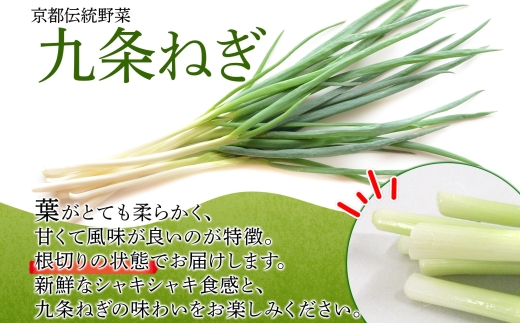 九条ねぎ 原体 根切り 3kg 京のおねぎはん ｜ 京野菜 京都府産 葱 ネギ ラーメン うどん 味噌汁 お鍋 ねぎ焼き 薬味 業務用 常備菜 産地直送 お取り寄せ 熨斗 のし 対応（名入れ不可）送料無料 西陣屋 京都府 亀岡市 ※北海道・沖縄・離島への配送不可
