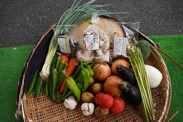 お野菜セット アビトルベジタブル+しいたけ 合計8～10品目詰め合わせセット 季節の野菜 旬の野菜 やさい 新鮮 産地直送 きのこ キノコ 産直 国産 京都 京都産 ※北海道・沖縄・離島への配送不可