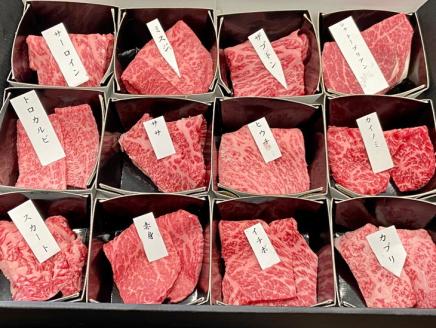 【冷蔵/冷凍】京の肉 ひら山厳選 京都府産 黒毛和牛 希少部位 12種盛 食べ比べセット 計６００ｇ《最高級 A5ランク 冷蔵 冷凍》