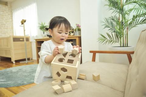 木製 パズル ドロップボックス【檜のおもちゃ ＩＫＯＮＩＨ】 ≪桧 おもちゃ ヒノキ ひのき 木育 知育≫