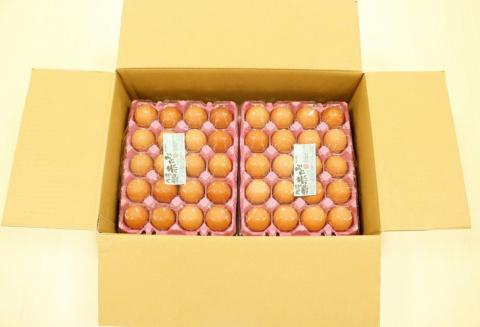 【12回定期便 計1440個】 京都・丹波の赤たまご 新鮮 （100個＋割れ保証20個）×12ヶ月 《生卵 たまご 鶏卵 小分け 1年間》※北海道・沖縄・離島への配送不可